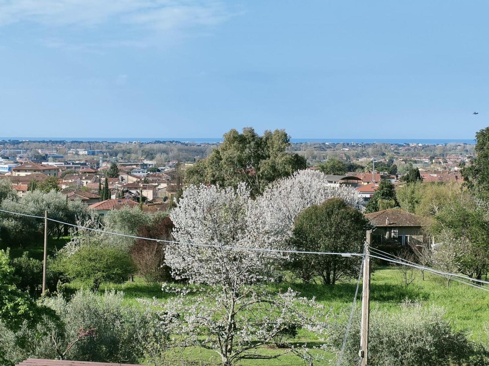 Villa Casa Bianca Pietrasanta Exterior foto